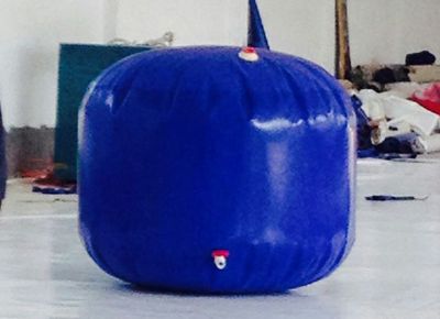 點(diǎn)擊查看詳細(xì)信息<br>標(biāo)題：水囊 閱讀次數(shù)：3504