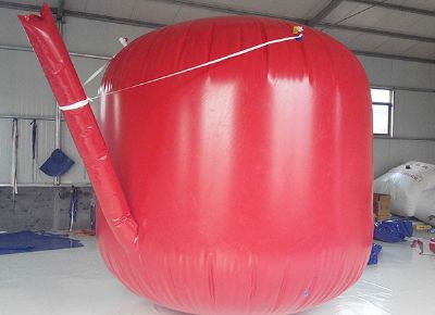 點擊查看詳細信息<br>標題：沼氣袋 閱讀次數(shù)：5919