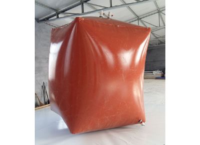 點擊查看詳細信息<br>標題：液袋 閱讀次數(shù)：6011