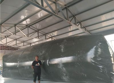 點擊查看詳細信息<br>標題：油囊 閱讀次數(shù)：3586