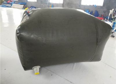 點擊查看詳細信息<br>標題：油囊 閱讀次數(shù)：3862